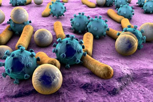 Bacterial And Viral Specimen Collection Market