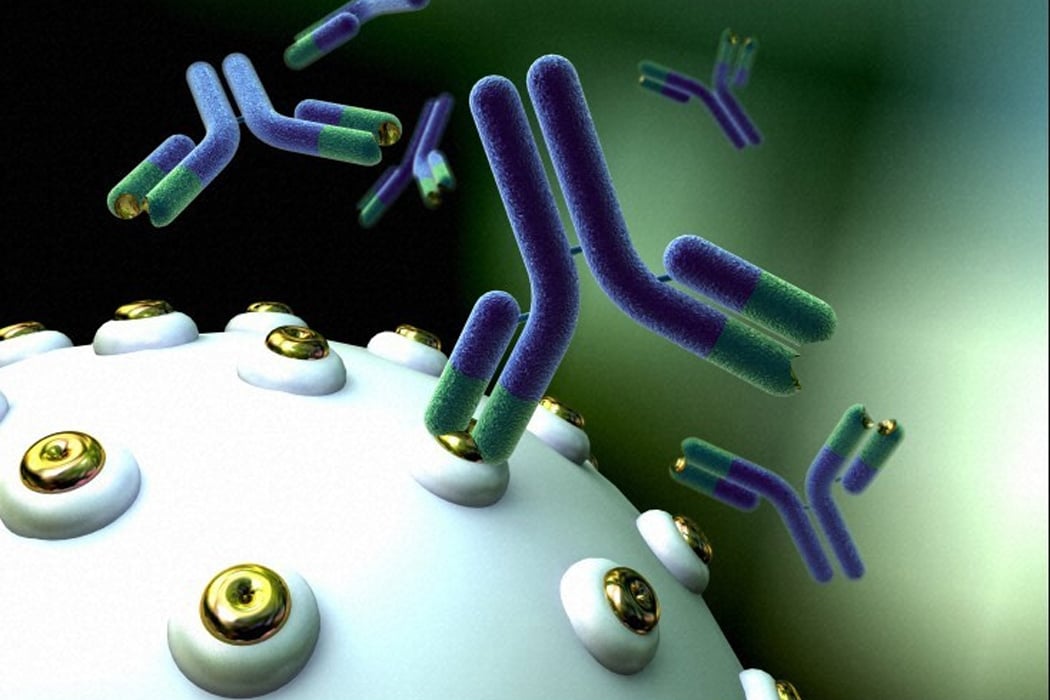 Monoclonal Antibody Diagnostic Reagents