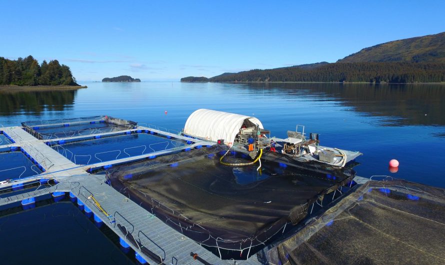 Aquaculture Water Treatment Systems Market is Dominating Global Aquaculture Market Owing to Increasing Awareness about Sustainable Aquaculture Practices.