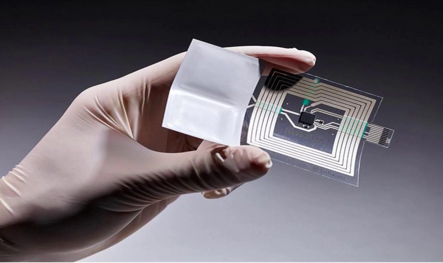The Flexibility Revolution: Unleashing the Potential of the Global Flexible Battery Market
