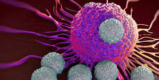 Global Immuno-Oncology Assays Market Is Estimated To Witness High Growth Owing To Increased Research and Development in Cancer Immunotherapy and Rising Prevalence of Cancer