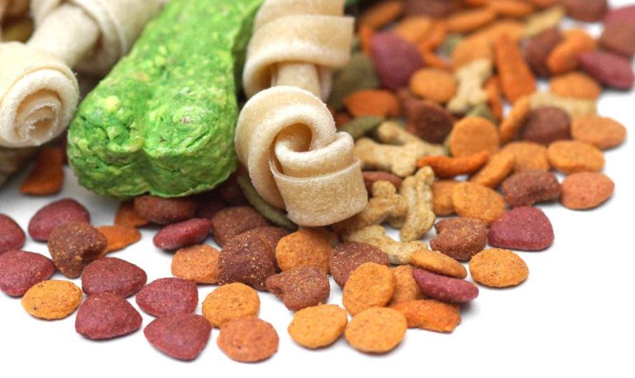 Global Animal Nutrition Market Is Estimated To Witness High Growth Owing To Increasing Demand for Nutritional Products