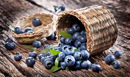 Blueberry Ingredients Market