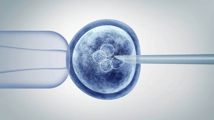 Human Embryonic Stem Cells Market: Emerging Opportunities and Steady Growth