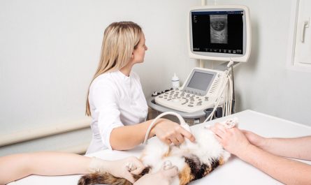 Veterinary Diagnostic Imaging Market