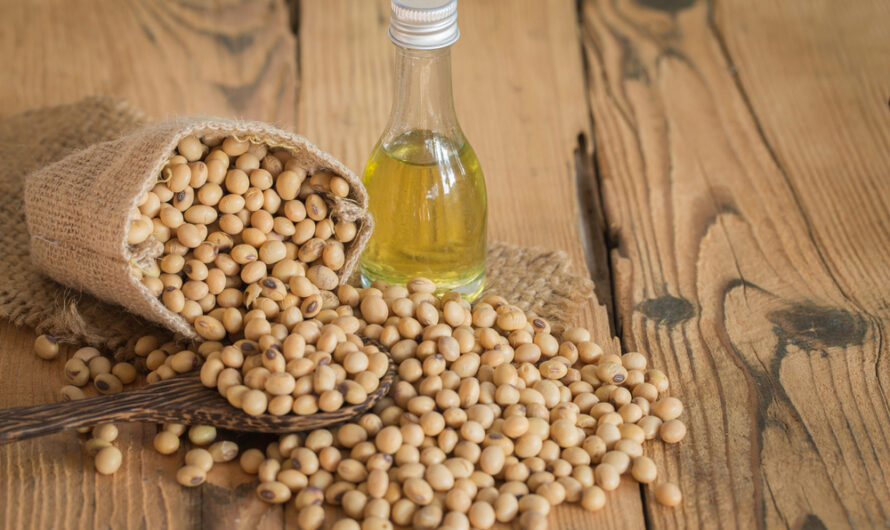 Soy Lecithin Market: Growing Demand for Natural Emulsifiers Drives Market Growth