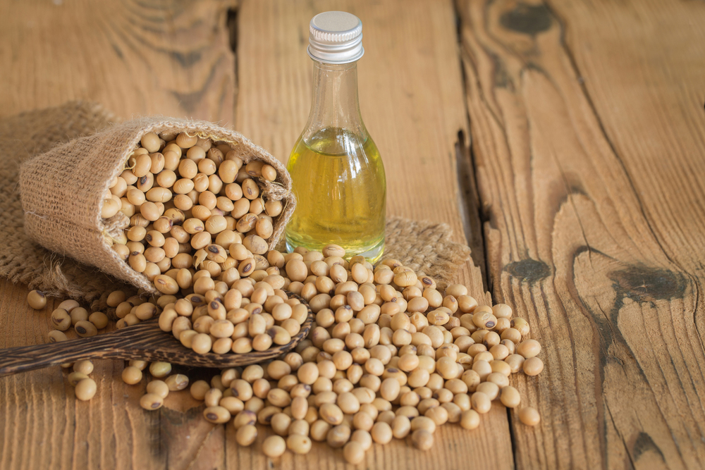 Soy Lecithin Market