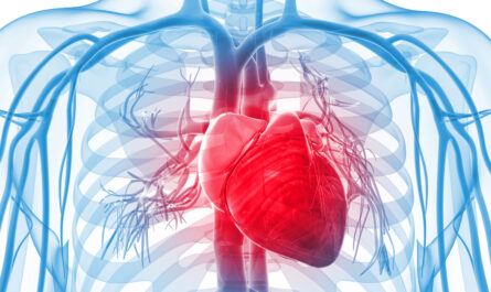 Cardiac Biomarker Market