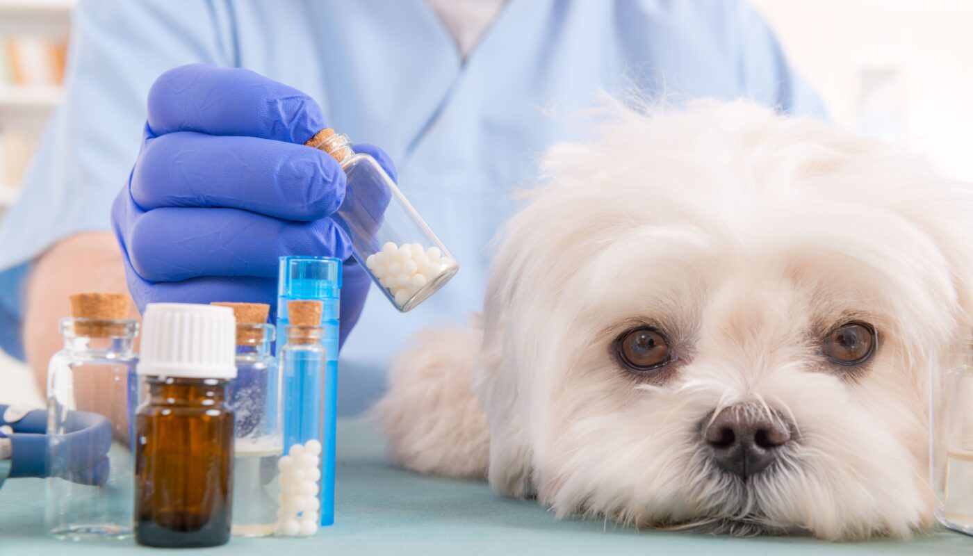 Veterinary Medicine Market