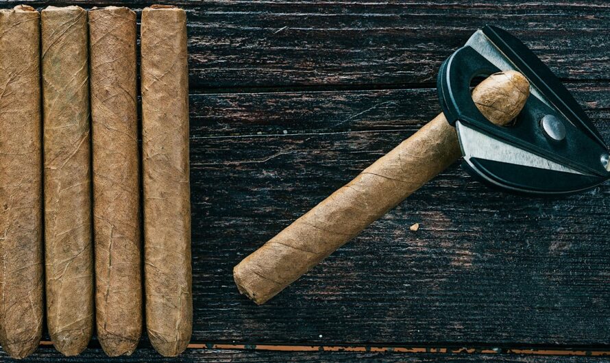 Cigar Cutter Market: Growing Demand For Premium Cigars Driving Market Growth