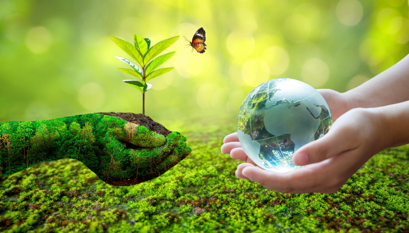 Climate Change Consulting Market