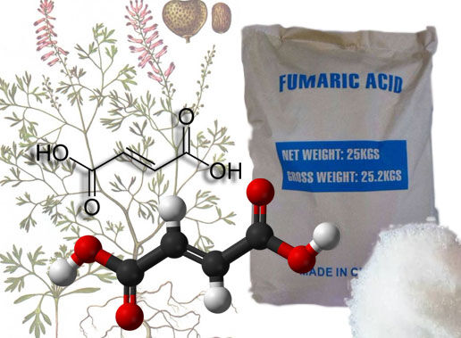 The Growth Of Fumaric Acid Market