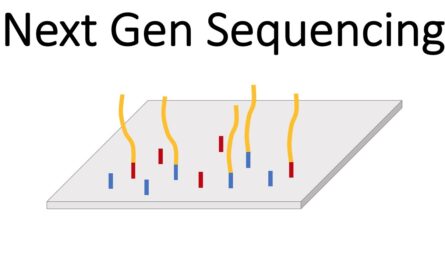 Next Generation Sequencing Market
