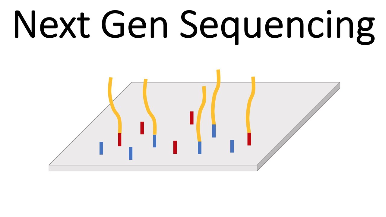 Next Generation Sequencing Market