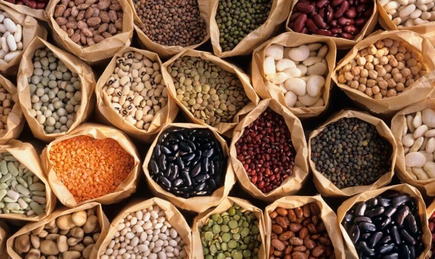 Global Vegetable Seed Market Is Estimated To Witness High Growth Owing To Increasing Demand