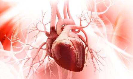 First Multi-Chamber Heart Organoids Unravel Human Heart Development and Disease