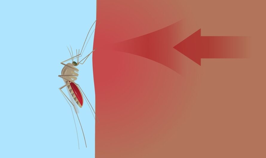 Mosquito Borne Disease Control Market Driven By Growing Disease Burden