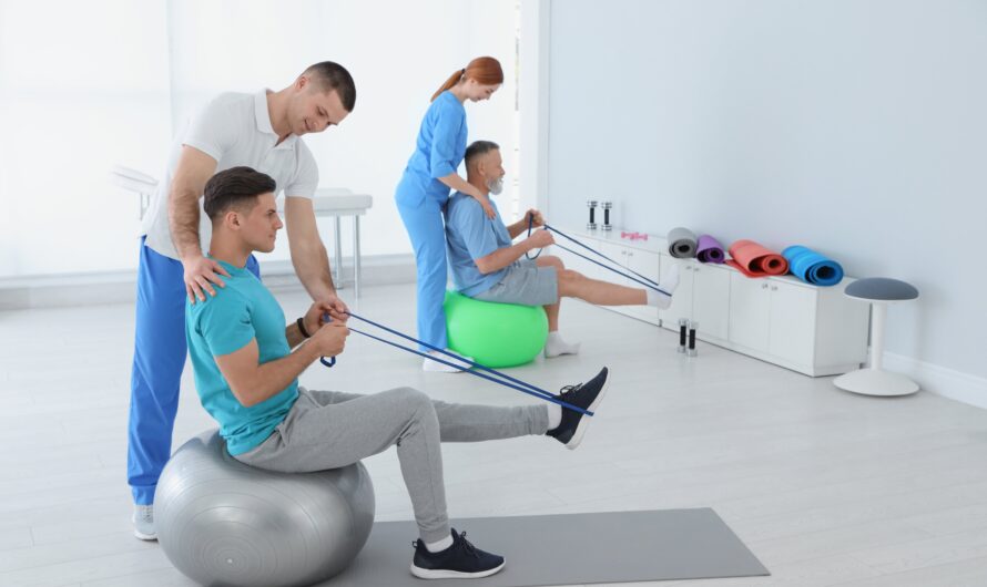 Physical Therapy Rehabilitation Solutions Market is Expected to be Flourished by Growing Prevalence of Chronic Diseases