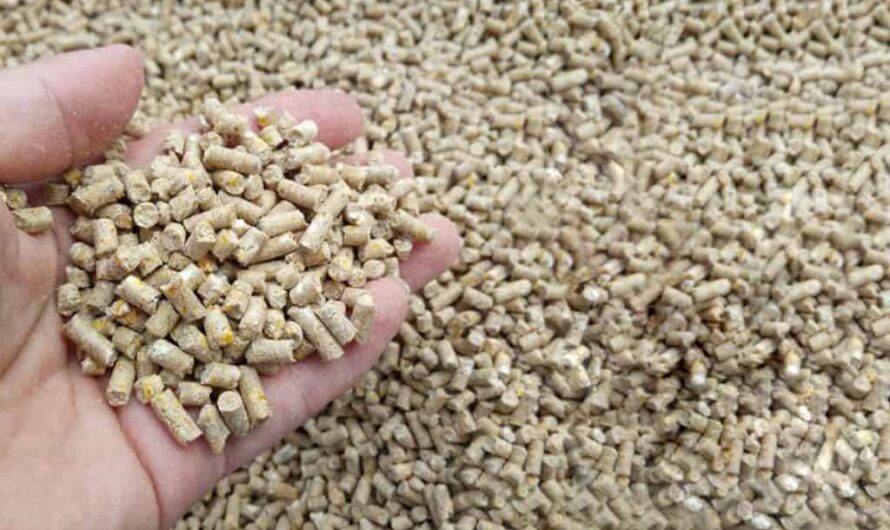 The Rising Demand for Nutritionally Rich Animal Feed is Driving the Global Starter Feed Market