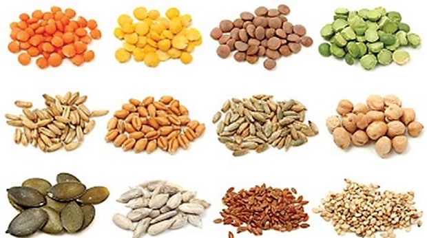 Vegetable Seed Market Poised to Yield Lucrative Growth Opportunities