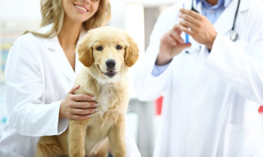 Poultry segment is the largest segment driving the growth of Veterinary Vaccines Market