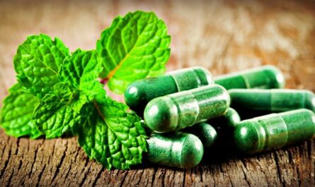Germany Nutritional Supplements Market