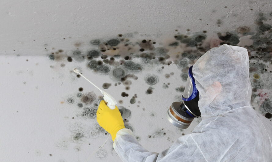 The Mold Remediation Service Market Driven by Growing Public Health Concerns