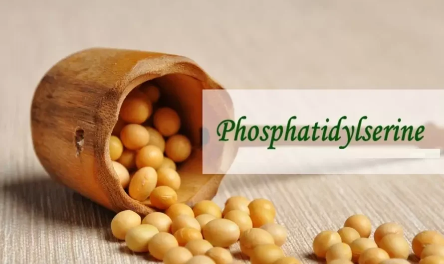 The Global Phosphatidylserine Market is driven by growing geriatric population