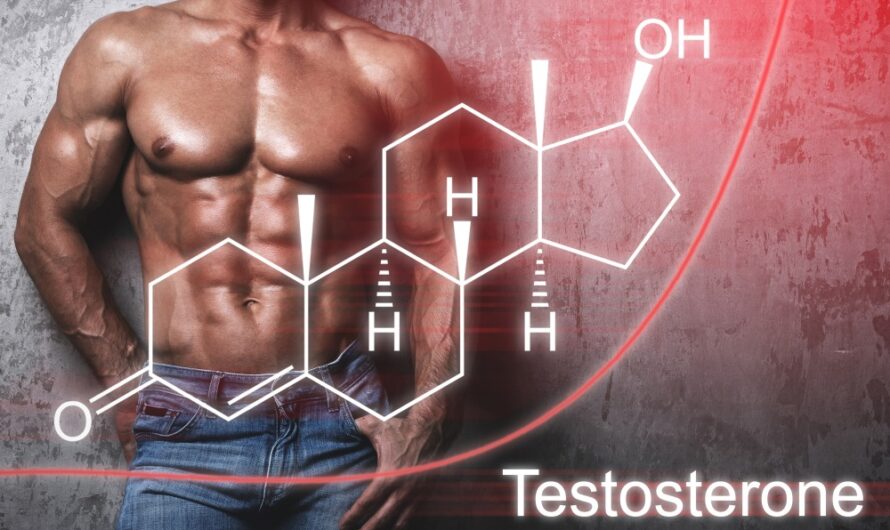 Scientists Discover Mechanism Linking Anxiety to Testosterone