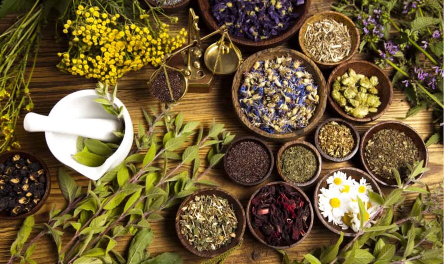 Australia & New Zealand Herbal Supplements Market Poised to Grow at a Robust Pace Due to Advancements in Herbal Extract Formulations