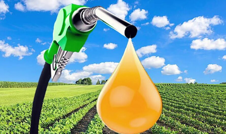 Biofuels: A Sustainable Fuel Alternative
