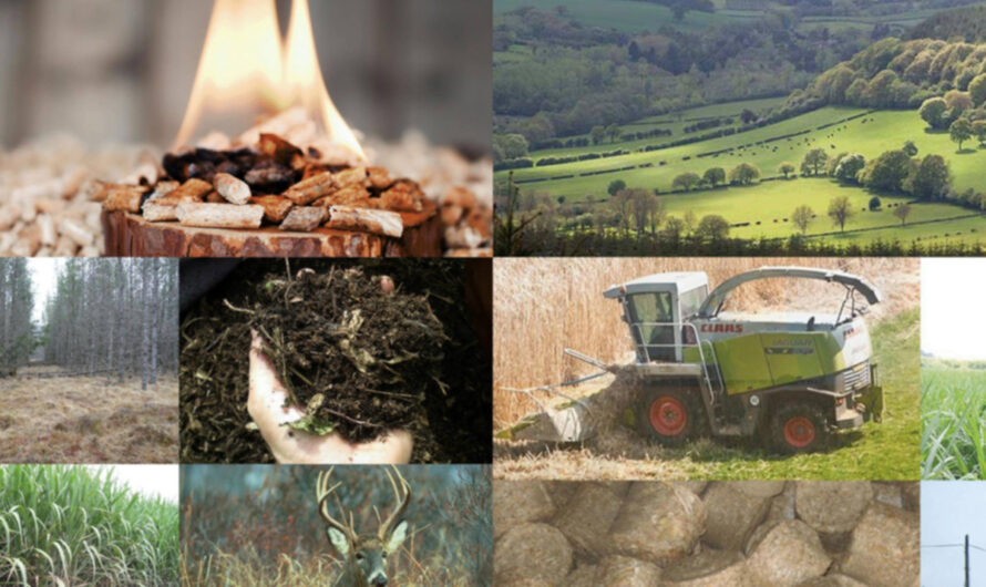 Biomass Solid Fuel Market is Estimated to Witness High Growth Owing to Increased Adoption of Clean Energy Technologies