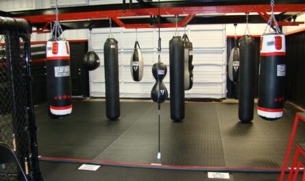 Boxing Equipment Market