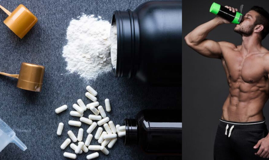 Global Workout Supplements Market Is Estimated To Witness High Growth Owing To Rise In Fitness Consciousness