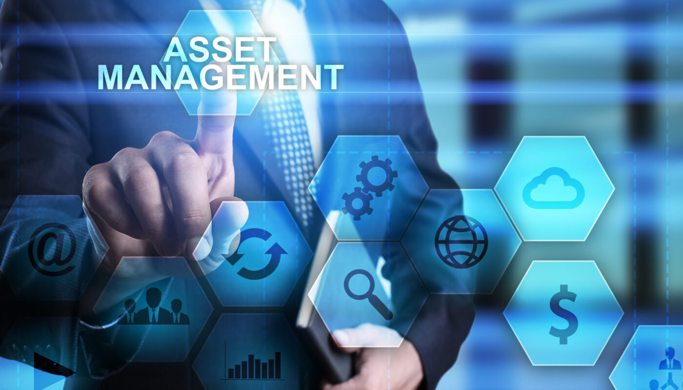 IT Asset Management Software Market