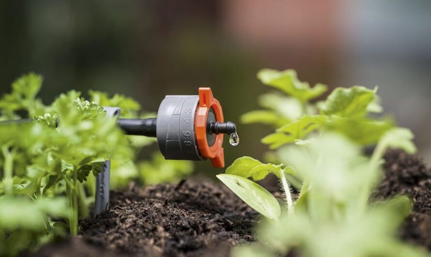 The Future of Agriculture: MENA Adopts Drip Irrigation System