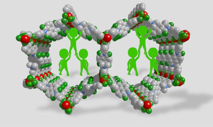 Metal Organic Framework Market Growth Is Driven By Rise In Environmental Sustainability Efforts