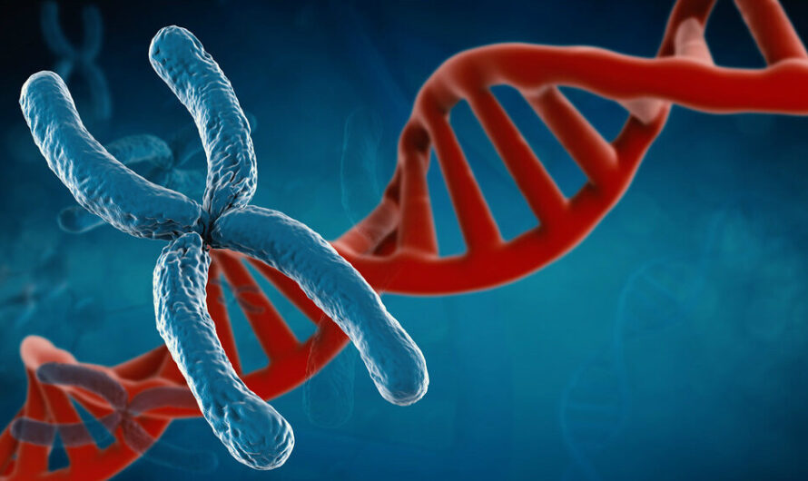 Molecular Cytogenetics: Unraveling The Mysteries Of Chromosomes