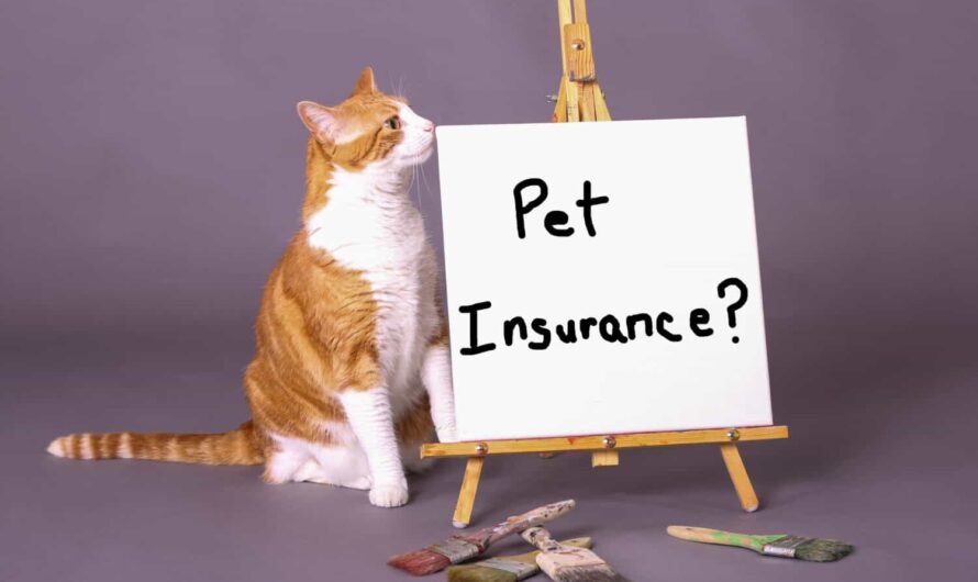 Pet Insurance Market Is Estimated To Witness High Growth Owing To Increased Adoption Of Technology In Pet Monitoring