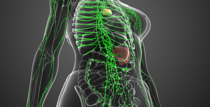 AI Model Developed at Chalmers University of Technology Detects 90% of Lymphatic Cancer Cases