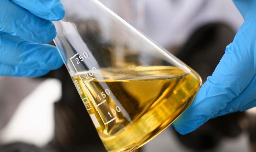 Biodiesel Catalyst: Enabling the Transition to Sustainable Energy