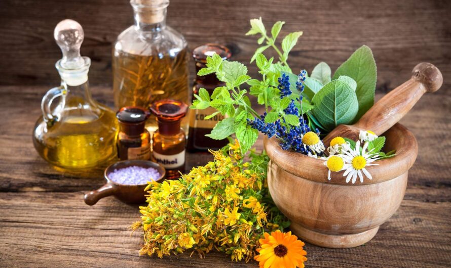 Cosmetic Botanical Extracts Market Empowered By Technological Advancements In Plant Cell Culture