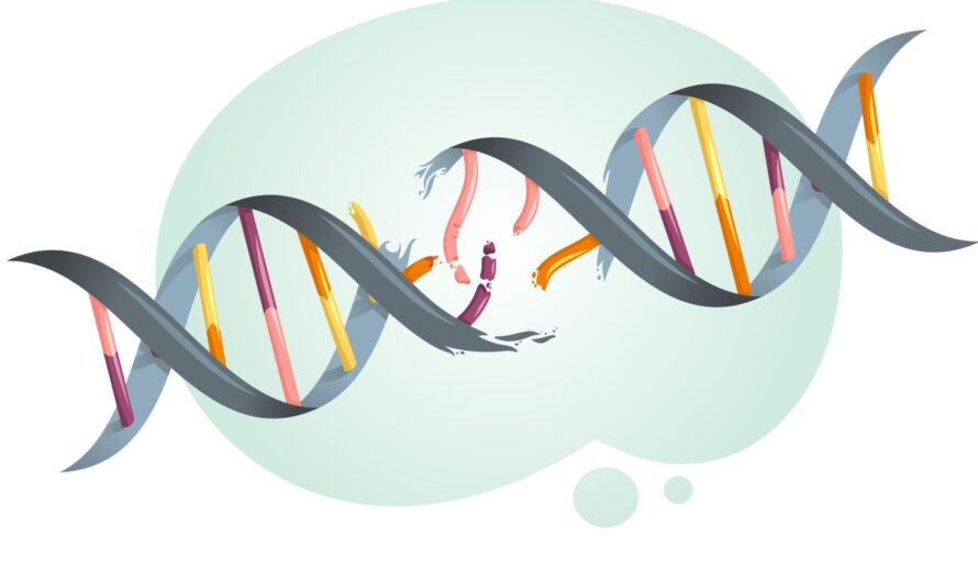 Researchers Uncover Connection Between DNA Damage and Long-Term Memories