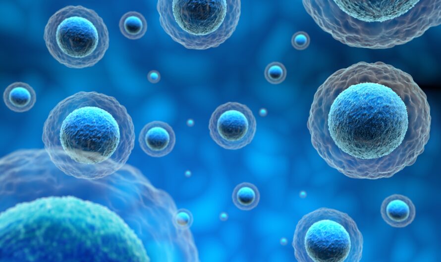 The Global Induced Pluripotent Stem Cells Market is Trending by Research and Development Activities