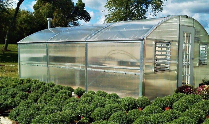 Growing Crops All Year Round: The Advantages Of Greenhouse Produce Farming