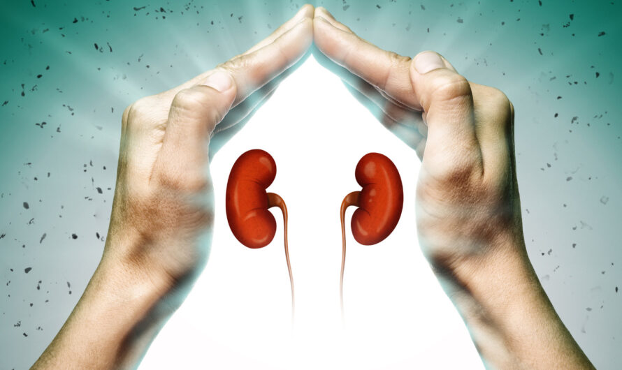 Kidney Transplant Market Is Estimated To Witness High Growth Due To Technological Advancements In Organ Preservation Methods