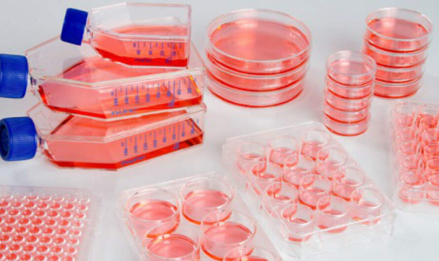 Primary Cell Culture Market is Estimated to Witness High Growth Owing to Advancements in Cell Culture Media Technologies