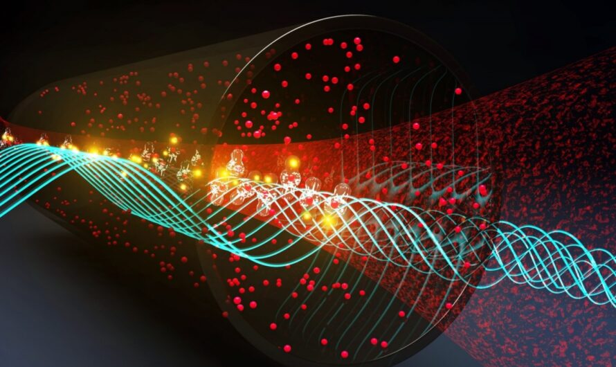 Quantum Sensors: Unlocking The Potential of Quantum Mechanics for Sensing Applications