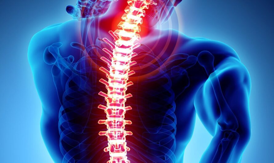 Spinal Imaging Market is Estimated to Witness High Growth Owing to Technological Advancements in MRI and CT Scanning