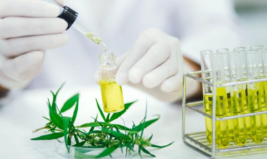 Analyzing the Growth: A Deep Dive into US Cannabis Testing Services Shaping
